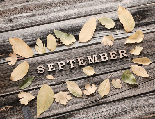 September Reset: New Year Goals