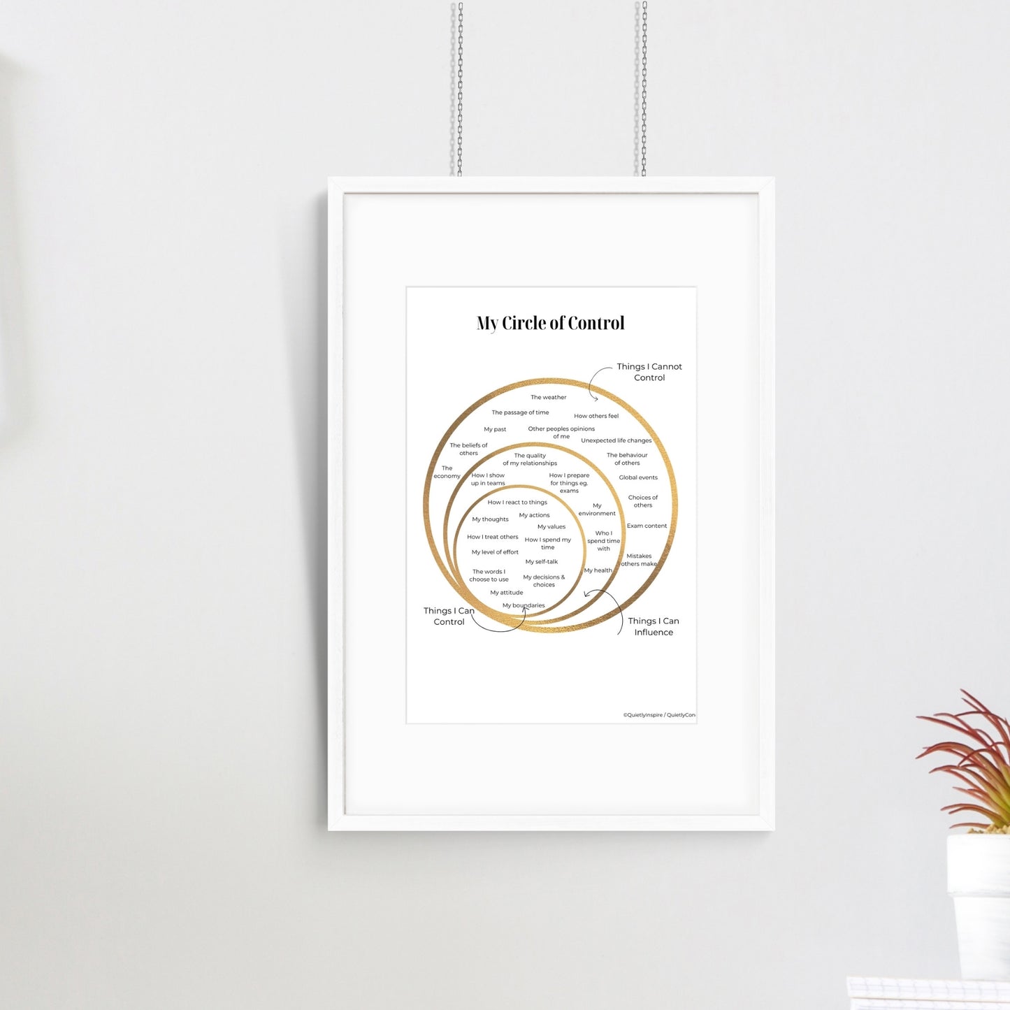 Circle of Control Worksheets and Poster