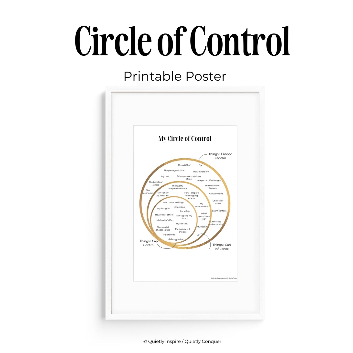 Circle of Control Worksheets and Poster