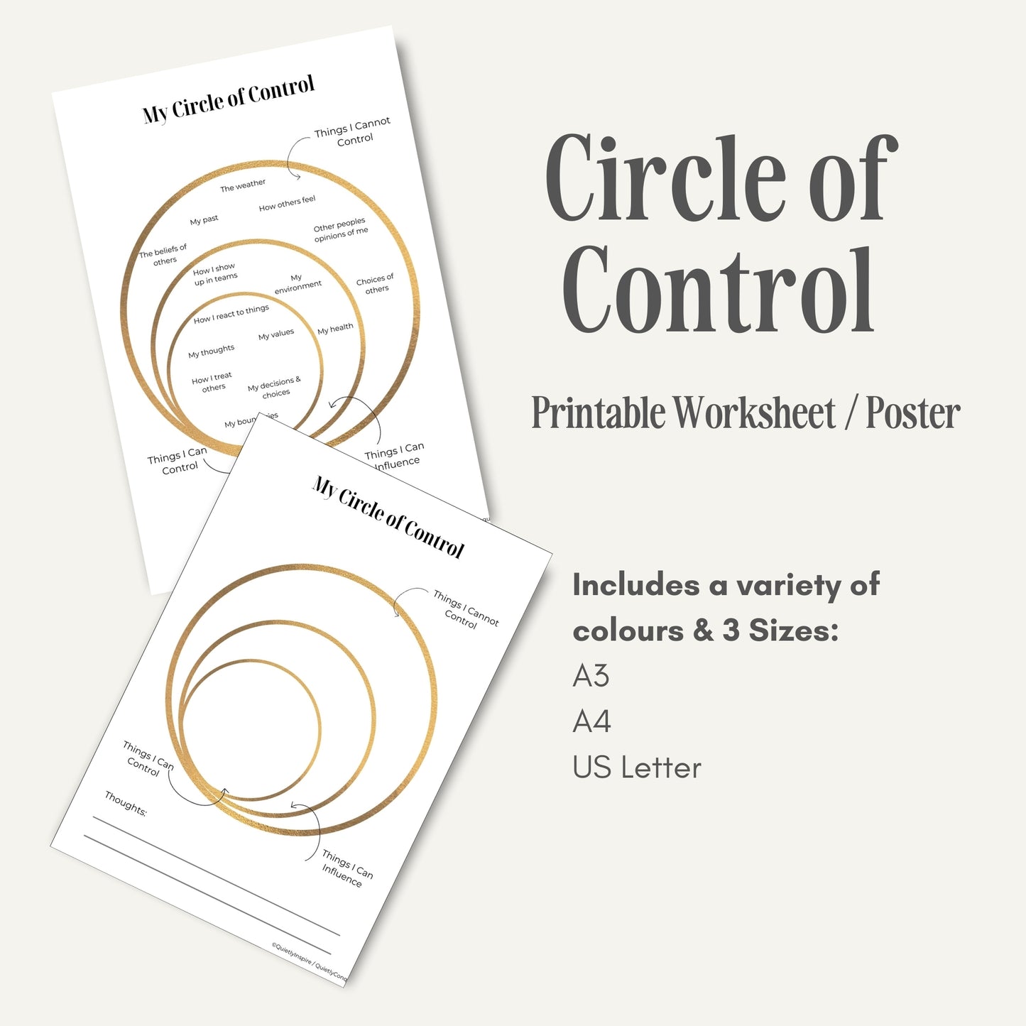 Circle of Control Worksheets and Poster