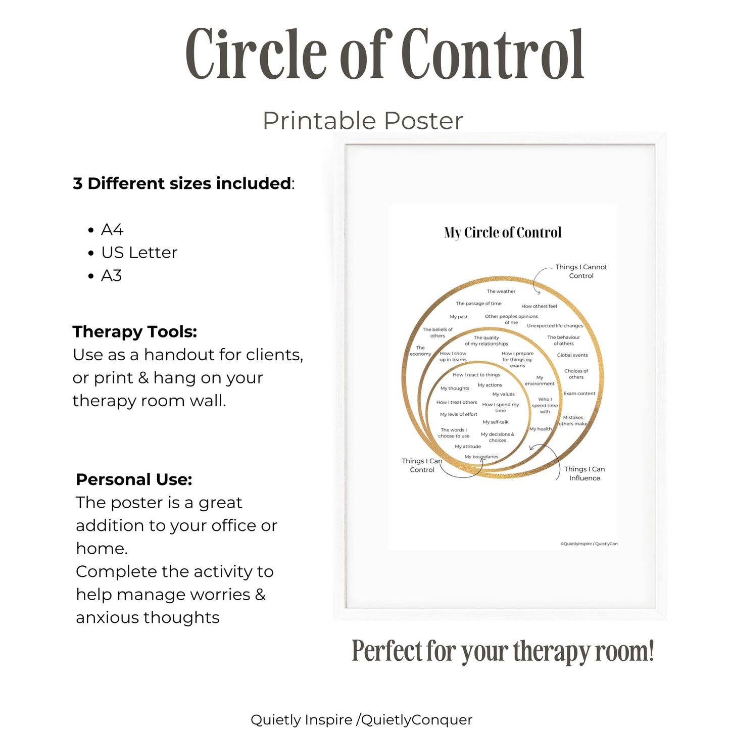 Circle of Control Worksheets and Poster