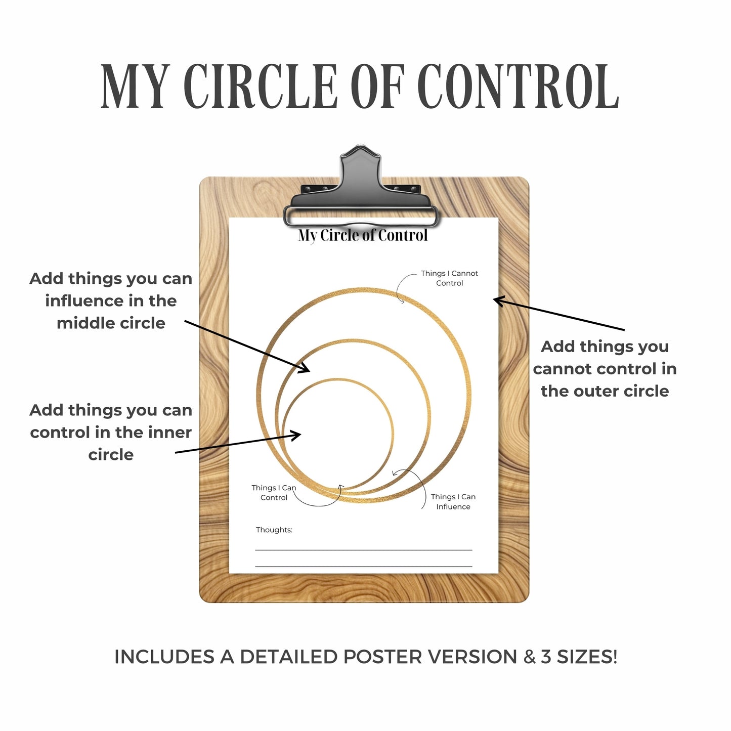 Circle of Control Worksheets and Poster