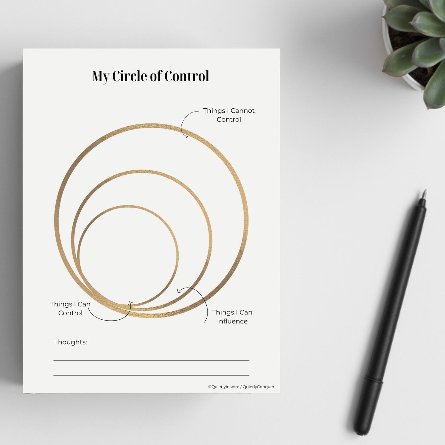 Circle of Control Worksheets and Poster
