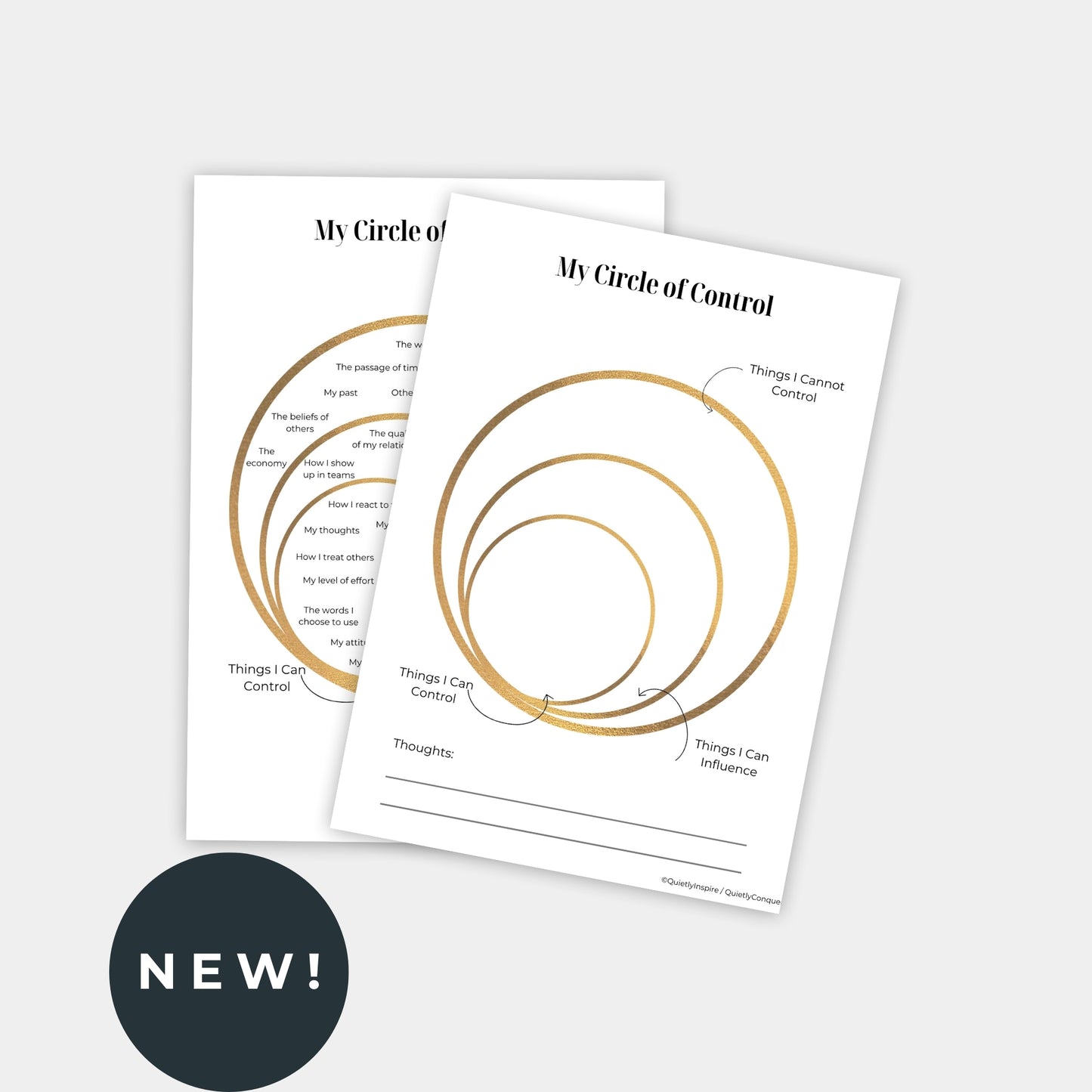 Circle of Control Worksheets and Poster