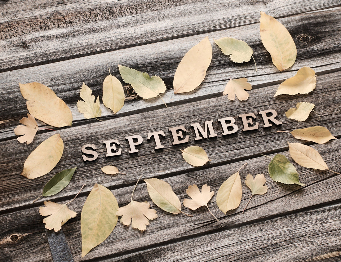 September Reset: New Year Goals